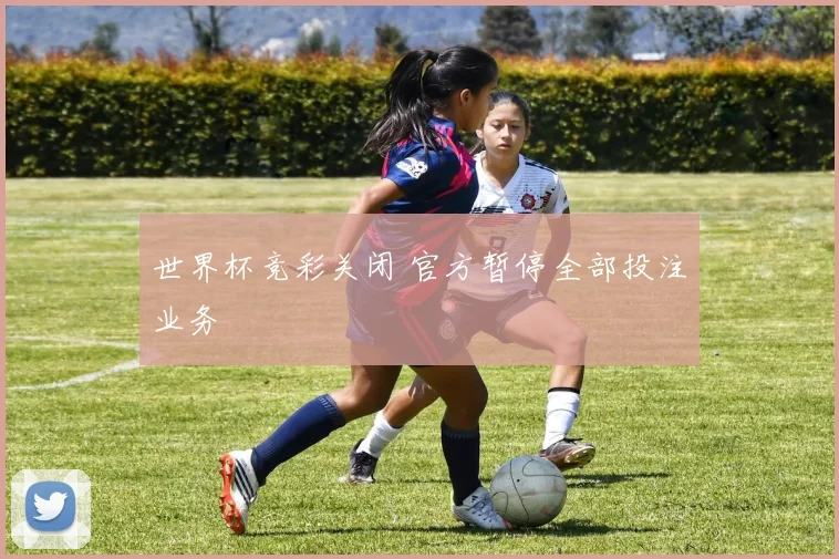 世界杯竞彩关闭 官方暂停全部投注业务