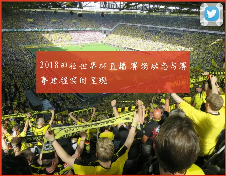2018田径世界杯直播 赛场动态与赛事进程实时呈现