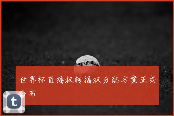 世界杯直播权转播权分配方案正式公布